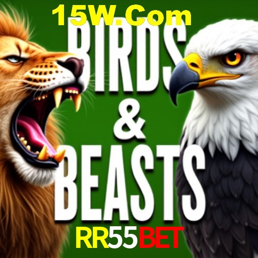 Estatísticas Crash Games RR55Bet